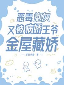 恶毒炮灰重生以后by