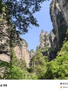 荷叶闲客中短篇小说集